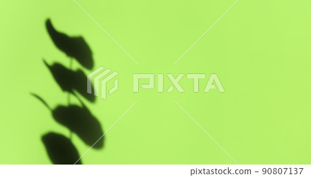 Creative copyspace with shadows on a shiny soft green wall. Top view of leaves shadows on the pink background. Flat lay style. Minimal summer concept with tree leaf 90807137