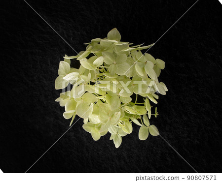 Top view of a flower on a black background. Selective focus. Top view of a flower on a black background. Selective focus. 90807571