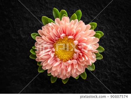 Top view of a flower on a black background. Macro shoot. 90807574
