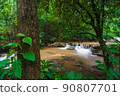 Mae Sa waterfall Near Chiangmai city, Chiang Mai, North in Thailand 90807701