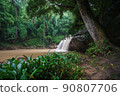 Mae Sa waterfall Near Chiangmai city, Chiang Mai, North in Thailand 90807706