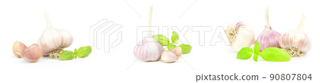 Group of Garlic isolated on a white background Group of Garlic isolated on a white background 90807804