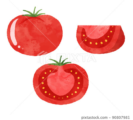 番茄插畫 90807981