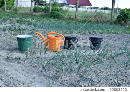 Buckets and a watering can are in the garden. Buckets and a watering can are in the garden. 90808330