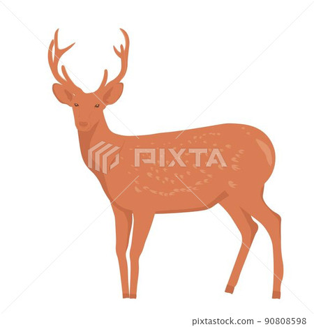 Spotted deer with horns. Vector stock illustration. Mammalian animals. Isolated on a white background. 90808598