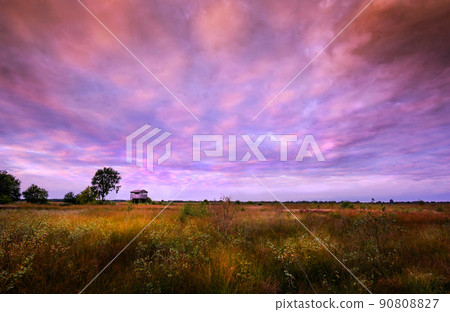 View across a natural resevoire in Germany 90808827