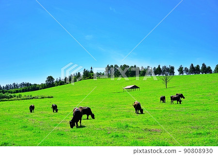 A ranch in the refreshing Hokkaido Biei hill A ranch in the refreshing Hokkaido Biei hill 90808930