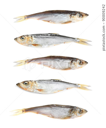 Set of tasty dry fish on white background Set of tasty dry fish on white background 90809242