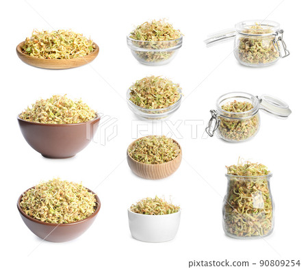 Set of sprouted green buckwheat isolated on white Set of sprouted green buckwheat isolated on white 90809254