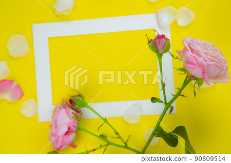 On a bright yellow background there is a white frame and pink roses and petals on the sides. High quality photo On a bright yellow background there is a white frame and pink roses and petals on the sides. High quality photo 90809514