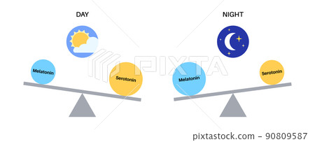 Sleep wake cycle 90809587