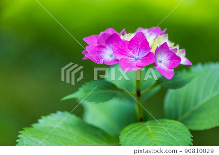 During the rainy season ... During the rainy season ... 90810029