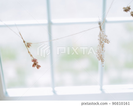 Dry flower at window side 90810161