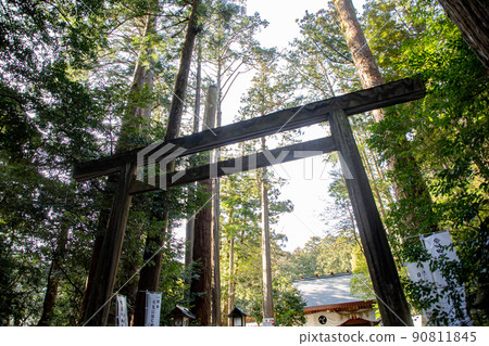 Tsubakiji神社 90811845