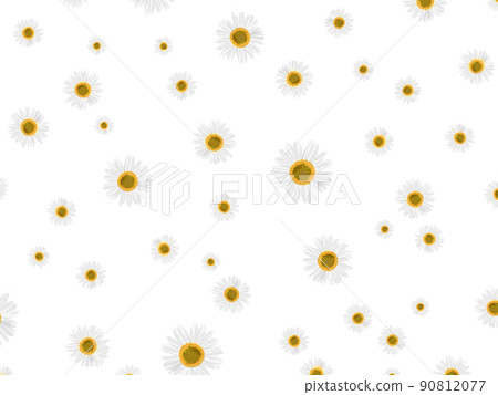白色瑪格麗特背景-白花圖案瑪格麗特圖案 90812077