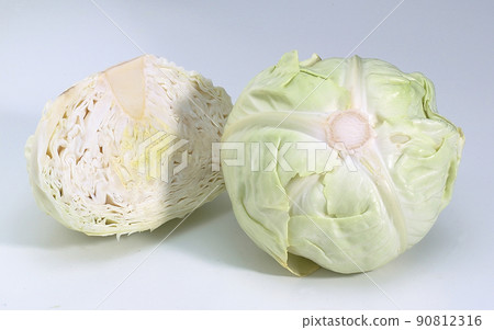cabbage cabbage 90812316
