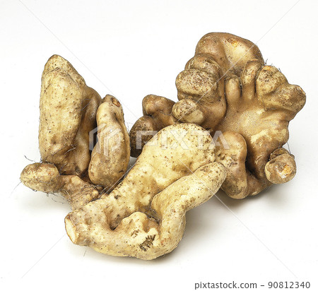 ginger ginger 90812340