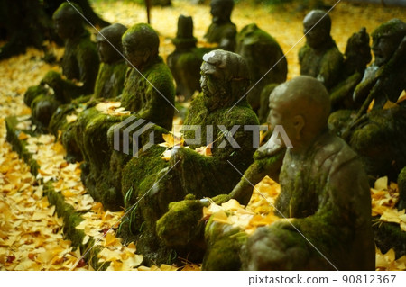 Autumn Kyoto Akayama Zenin 90812367