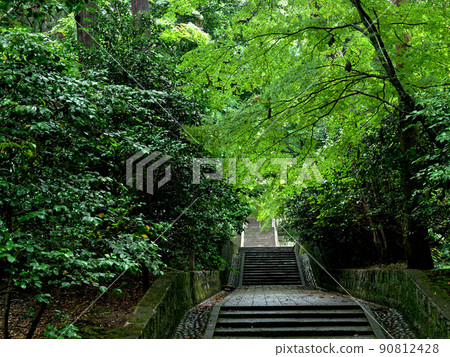The approach to a fresh green Buddhist temple The approach to a fresh green Buddhist temple 90812428