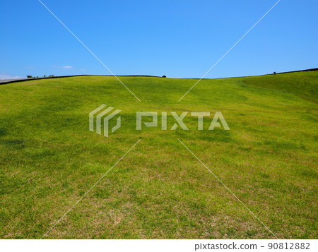 Komuroyama summit, grassland image 90812882
