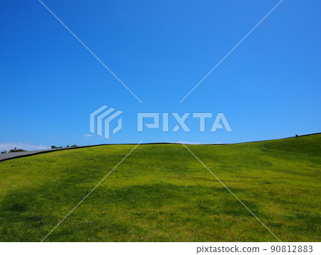 草坪廣場，野餐點 90812883