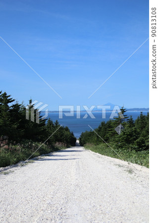 Soya's white road 90813108