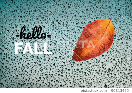 Hello Fall card with autumn leaf on wet window and greeting text 90813423