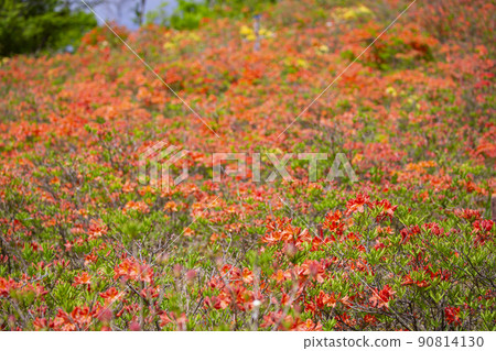 長野縣宮田村宮田高原露營地景觀 90814130