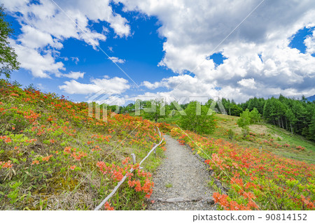 長野縣宮田村宮田高原露營地景觀 90814152