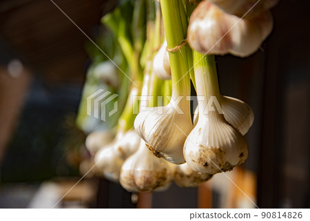 幹生大蒜 90814826