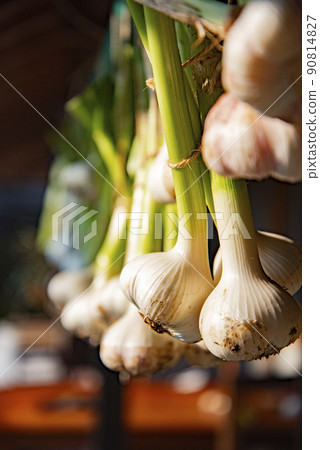 Dry raw garlic Dry raw garlic 90814827
