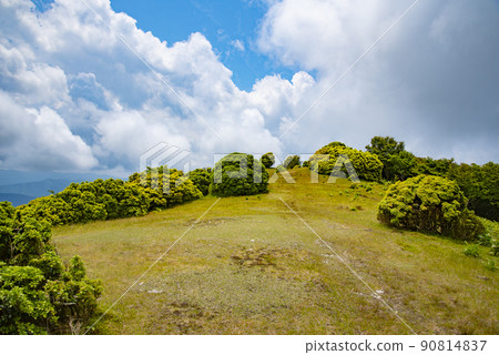 三根山的八丁平在新綠中 三根山的八丁平在新綠中 90814837