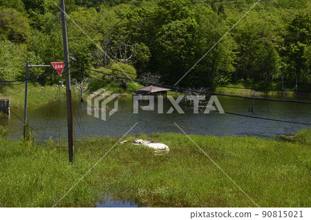 Toya Nishiyama foot crater (white car sunk in Nishishinyama swamp) 90815021