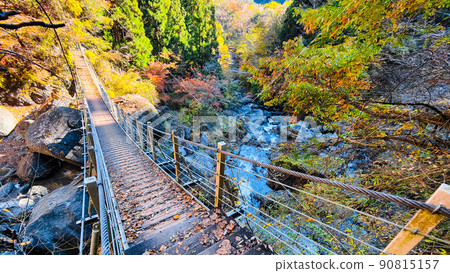 Oyanagawa Gorge (Autumn) Oyanagawa Gorge (Autumn) 90815157