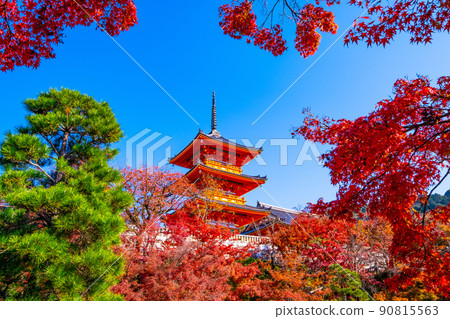 The triple tower of Kiyomizudera and autumn leaves The triple tower of Kiyomizudera and autumn leaves 90815563