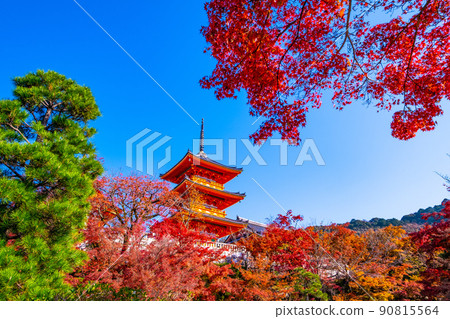The triple tower of Kiyomizudera and autumn leaves The triple tower of Kiyomizudera and autumn leaves 90815564