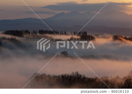 Morning fog hill Morning fog hill 90816110