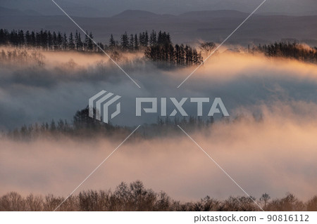 Morning fog hill Morning fog hill 90816112