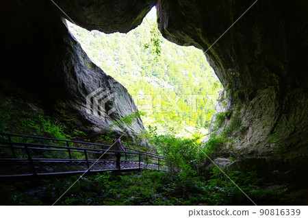 親岩峽谷貓 90816339
