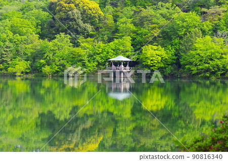 新鮮的綠色小畑綠地公園綠池 90816340