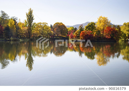 Nakajima公園秋葉 Nakajima公園秋葉 90816379