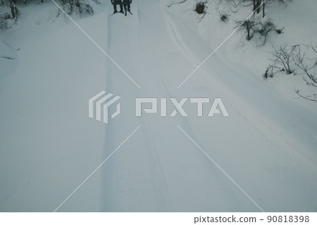 skiing, skier, ski resort 90818398
