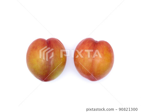 梅子隼大石 梅子隼大石 90821300