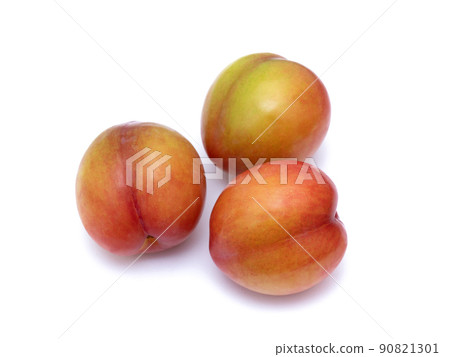 梅子隼大石 90821301