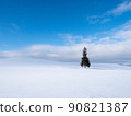 A coniferous tree like a Christmas tree standing on a snowy hill 90821387