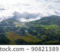 A green wetland that emerged in the sea of clouds 90821389