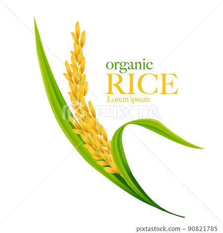 Rice realistic vector illustration 90821785
