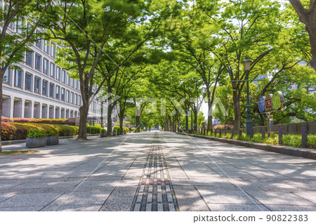 Miotsukushi Promenade，位於大阪市政府南側的櫸樹長廊 90822383