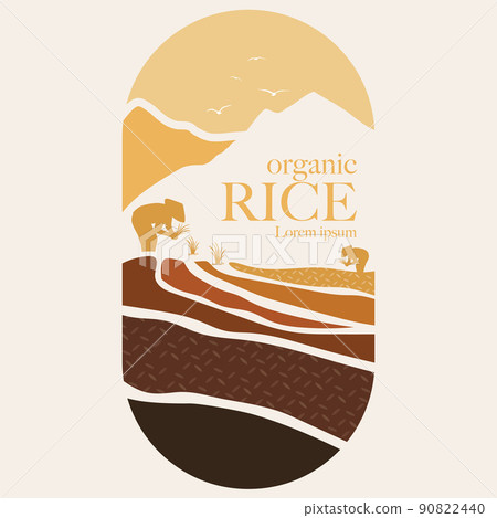 Wheat Rice Paddy Field, Wheat elements, food, logo, whole Grain png |  PNGWing