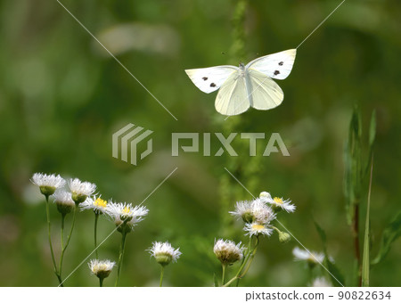 It's casual, but it's a landscape where you can feel the breath of life. It's casual, but it's a landscape where you can feel the breath of life. 90822634